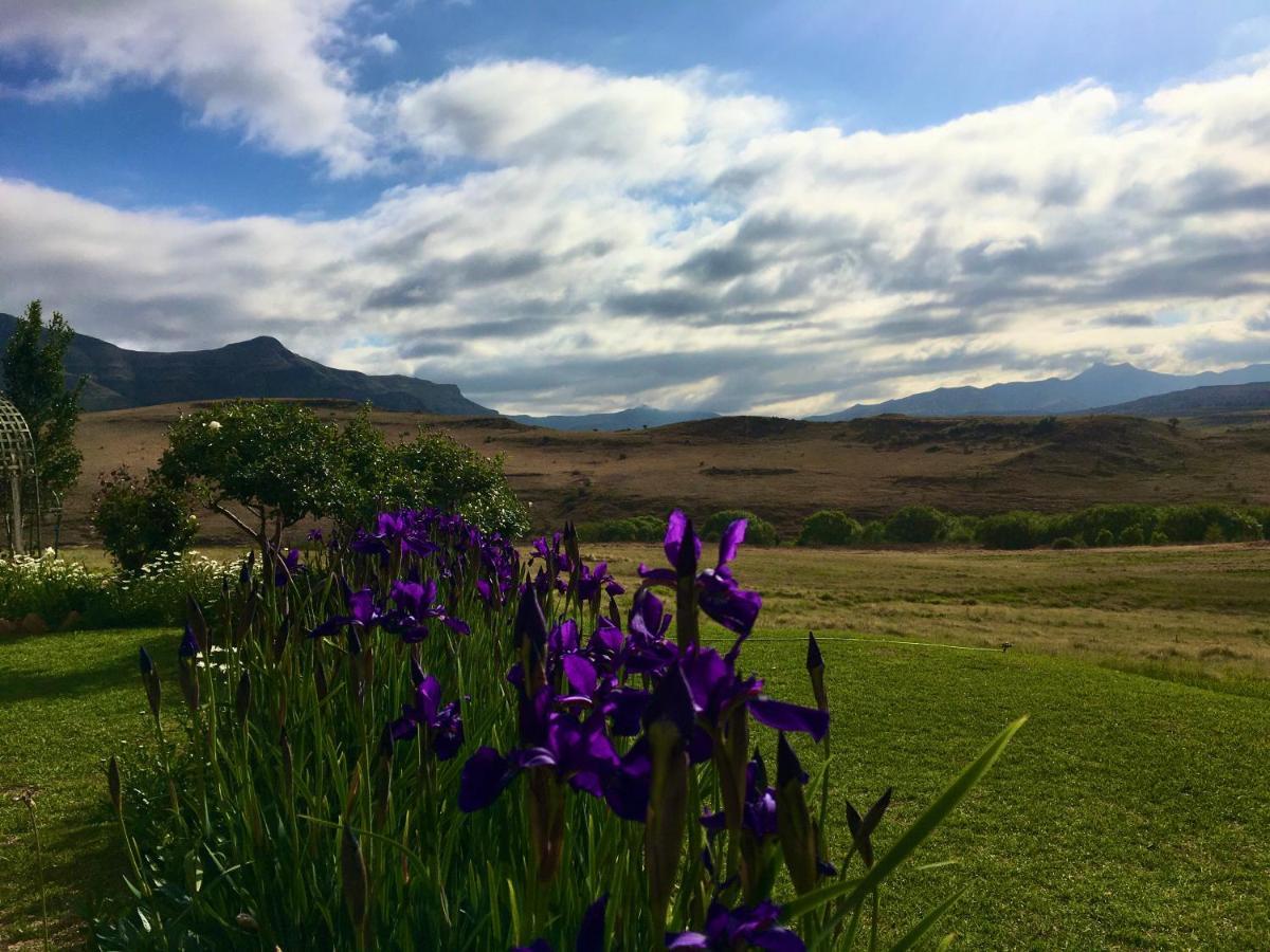 Jovali Clarens Hotel Bagian luar foto