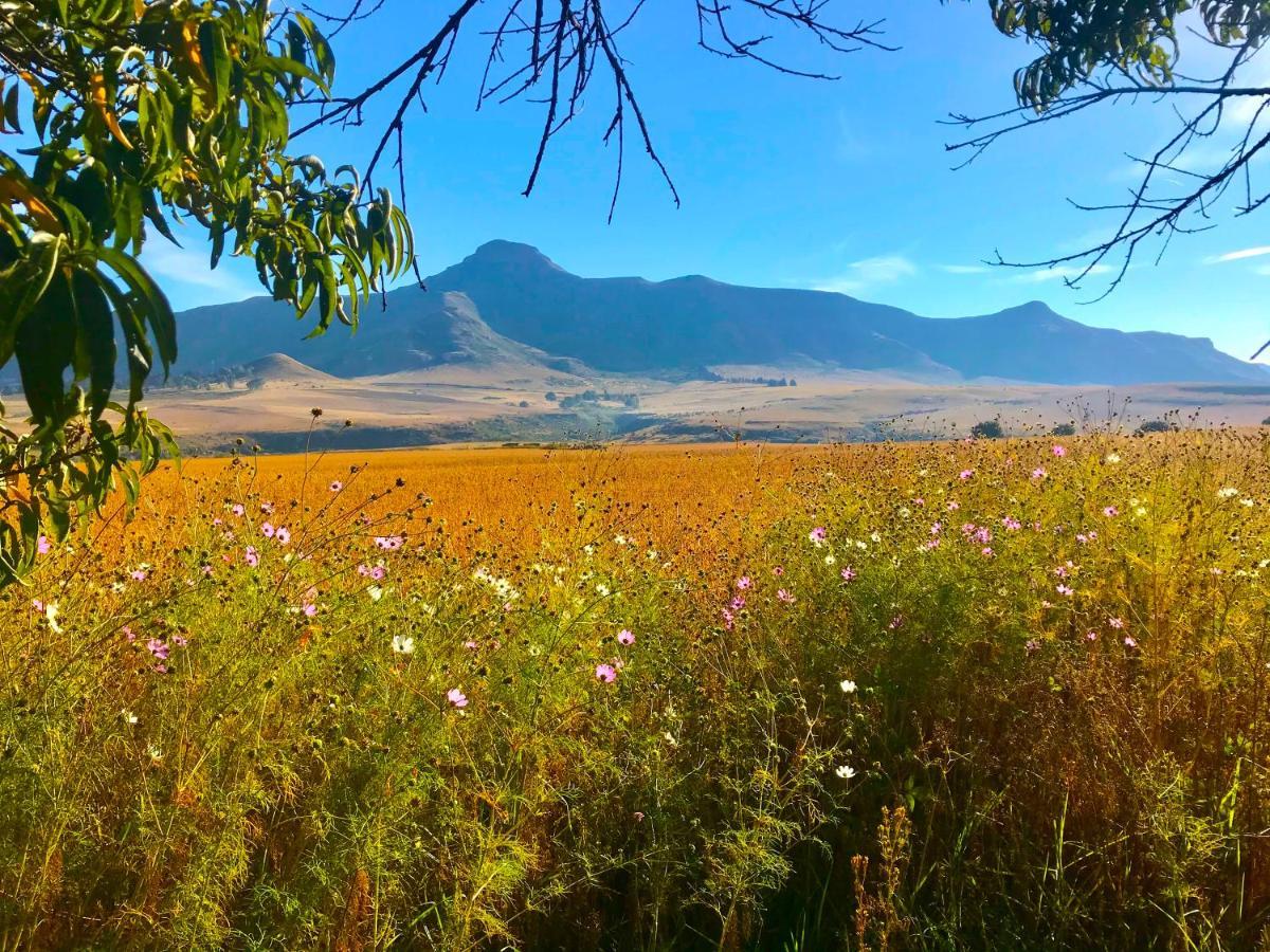 Jovali Clarens Hotel Bagian luar foto